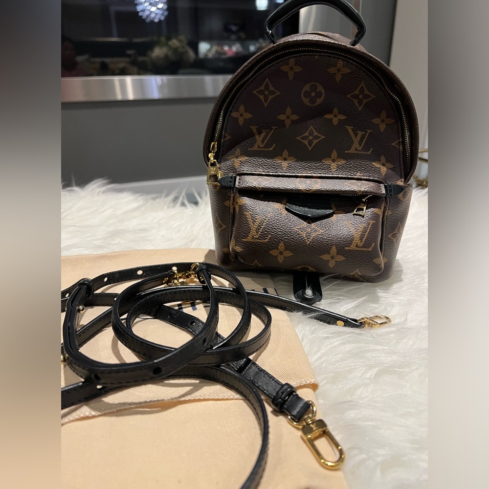 Louis Vuitton Mini Palm Spring